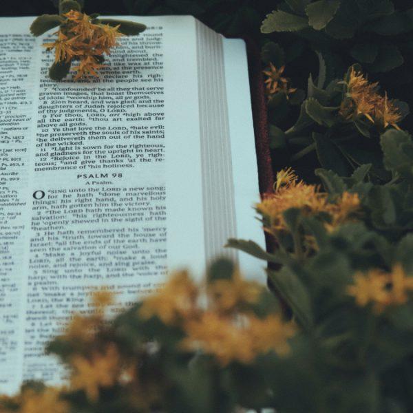 圣经对奉献的教导