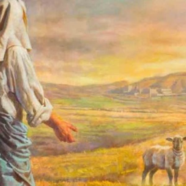 我如羊走迷，直到遇见祂