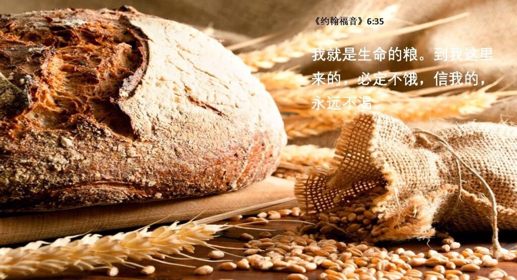 做主的儿女何等有福 – 《恩语》- 北堂网刊