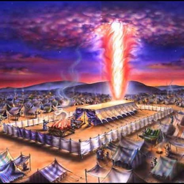 学习《利未记》心得