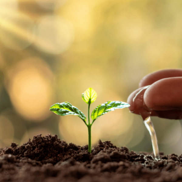 宣教，從身邊做起