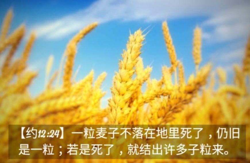 枪响之后
