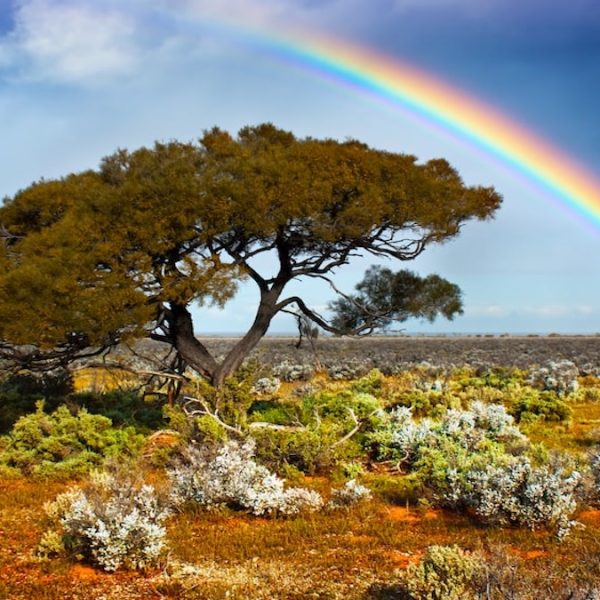 主所爱的特别宝贝