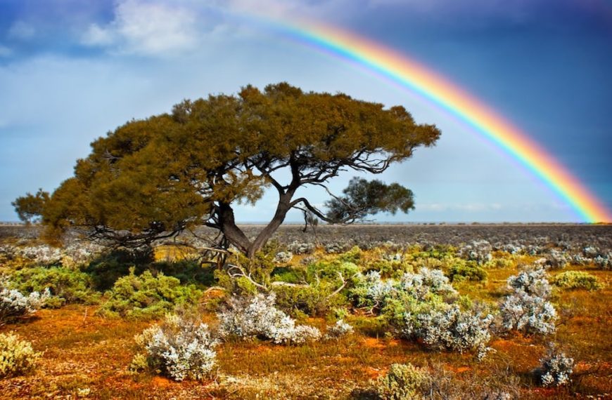 主所爱的特别宝贝