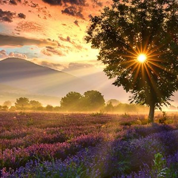 当弟兄就要远走