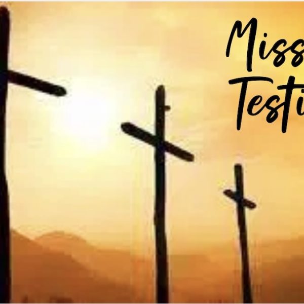 Mission Testimony