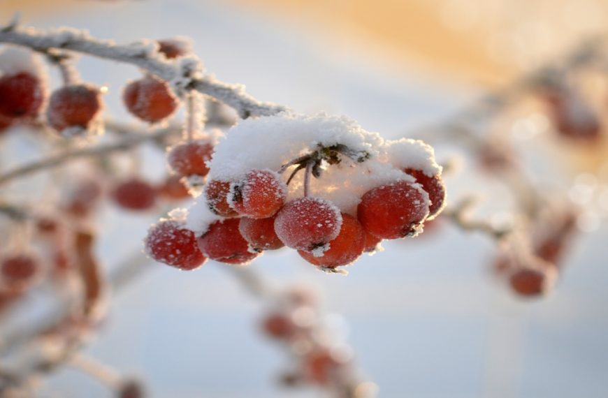 朱義熙牧師及師母感恩代祷信