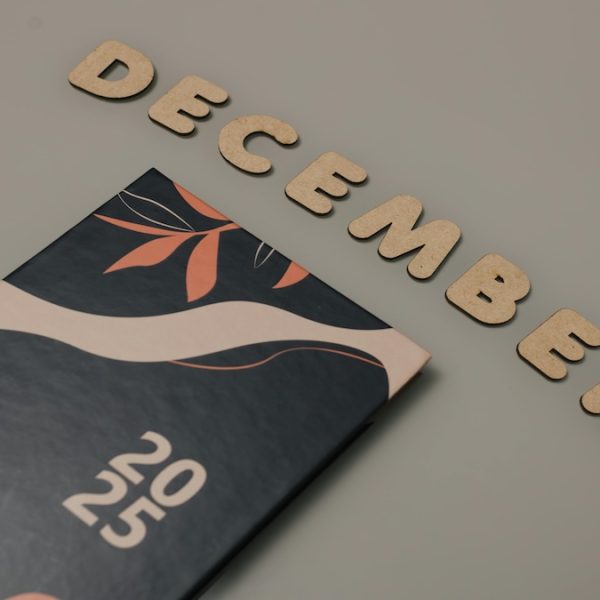 Zhu family Newsletter for December 2025