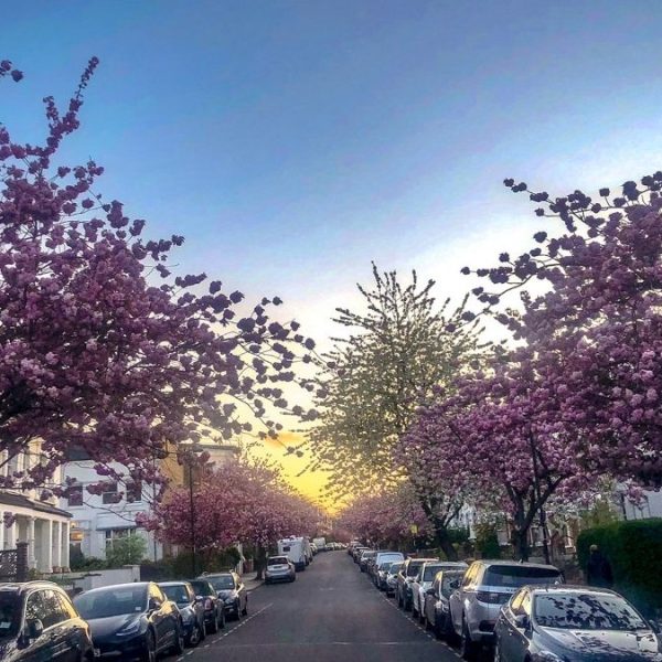 基督教华侨布道会 2026/3-4月代祷信