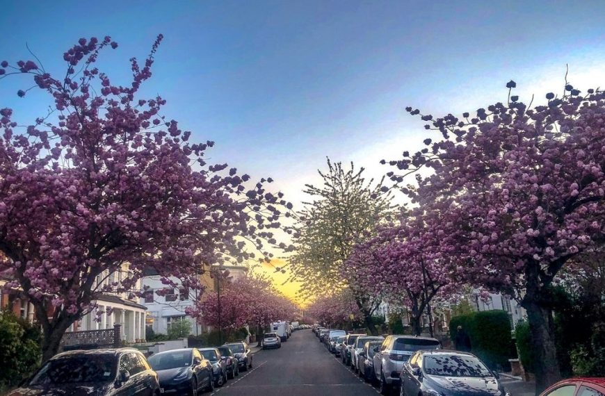 基督教华侨布道会 2026/3-4月代祷信