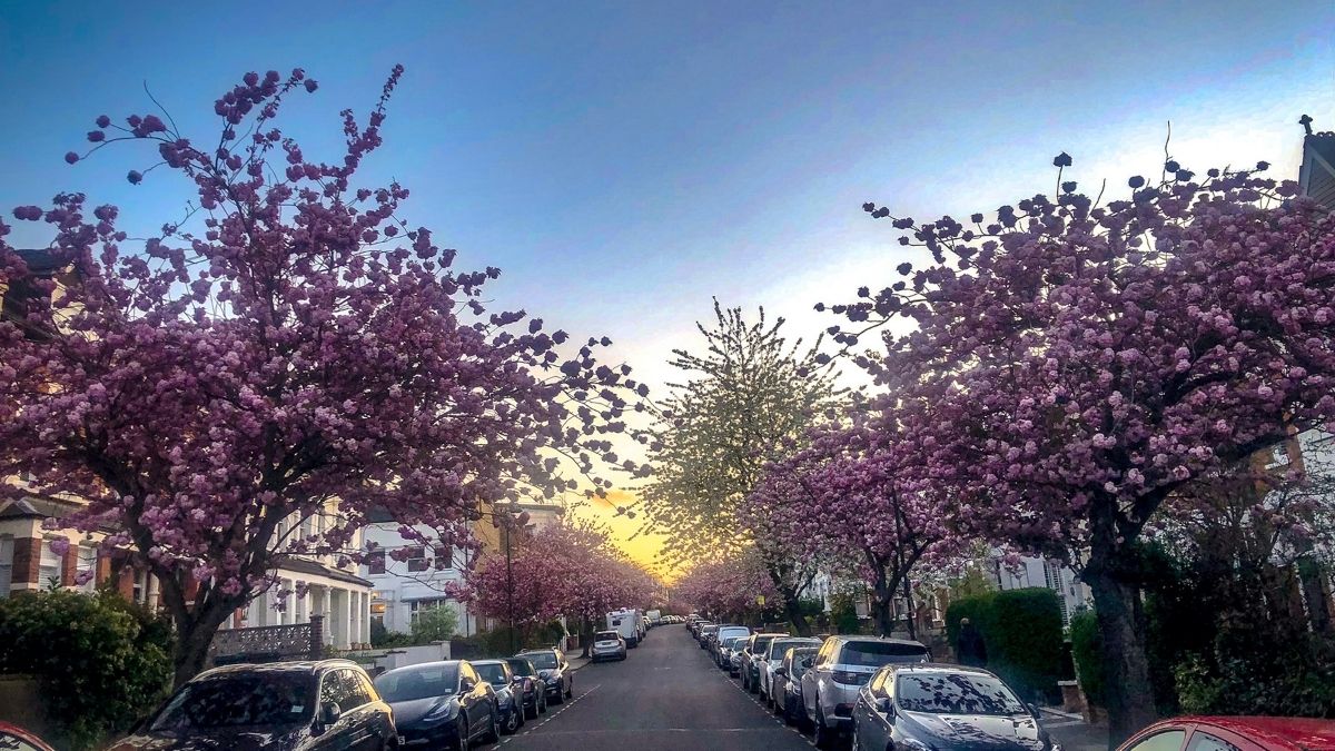 基督教华侨布道会 2026/3-4月代祷信