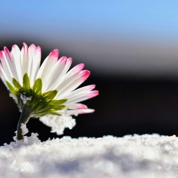 三福培训分享- 2025年宣教之夜发言