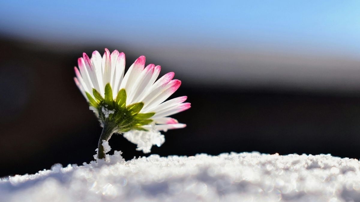 三福培训分享- 2025年宣教之夜发言