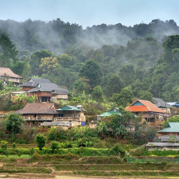 New Life Abounds in Southeast Asia